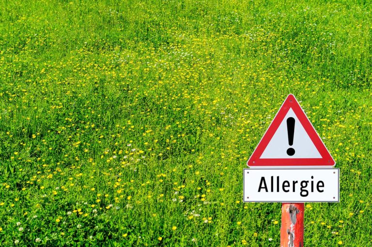 Allergie Pflanzen